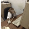 Monkey 18