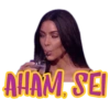 AHAM, SEI