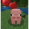 Minecraft 5