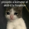 prosedo a kometer el
akto d la llorasion