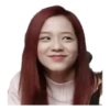 Blackpink Memes#1 29