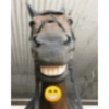 Shitpost krai 16
