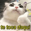 Pack de memes variados 🤣 17