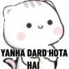 C
YANHA DARD HOTA
HAI
