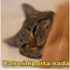 Memes de pelos  24