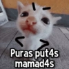Puras put4s mamad4s