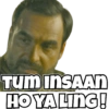 TUM INSAAN
HO YA LING!