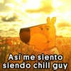 Así me siento siendo chill guy