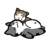Gatinhos fofos 6
