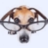 Cachorro meme 13