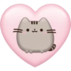 Pusheen Pink 🩷🩷 13