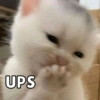 UPS