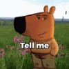 Tell me