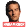 Bear Grylls (Man vs Wild) 13