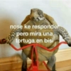 Cuadraditos pa usté 22