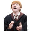 Harry potter 14