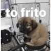 to frito
