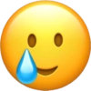 Emoji iPhone  15