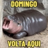 DOMINGO VOLTA AQUI