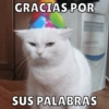 Cumpleaños🥳 7