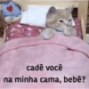 Memes de gatinhos 4