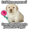 MEMES FAVORITOS #15 19