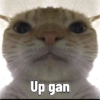 Up gan
