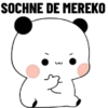 SOCHNE DE MEREKO
3