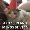 Cumpleaños Feli :D🥳 8