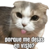 porque me dejas
en visto?