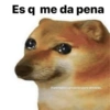 Es q me da pena
@animalitos groseros pero sinceros