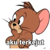 Patrick 18