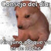 🐶Cheems Bebé🍼 11