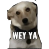 WEY YA