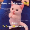 Oyee, no olvides que TQM
Gatitos que mejoran
tu mood
@cats4mood en Instagram
Asies,
Te Quiero Manosear jsjs