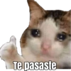 Te pasaste