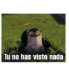 Tu no has visto nada