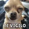 TE VIGILO
