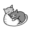 Gatinhos fofos 10