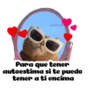 Super tiernos ❤️ 10
