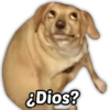 MEMES FAVORITOS #12 21