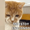 ME ESTOY
ENOJANDO