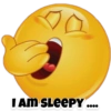 I AM SLEEPY