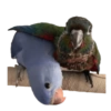 Birds 2.0 19