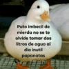 Puto imbecil de
mierda no se te
olvide tomar dos
litros de agua al
dia inutil
papanatas