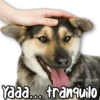🤯 MEMES CLÁSICOS 1.0  🤵🍷 11