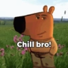 Chill bro!