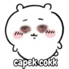 capek cokk