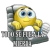 TODO SE FUE A.LA MIERDA