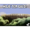 Figurinhas GALO 2021 2.0 11